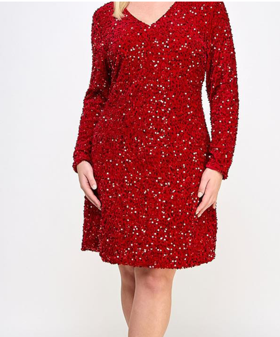Sequin Long Sleeve Dress
